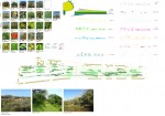 http://epifita.com.ar/files/gimgs/th-32_Colegiales -  Lamina 03 - Vegetacion Web.jpg